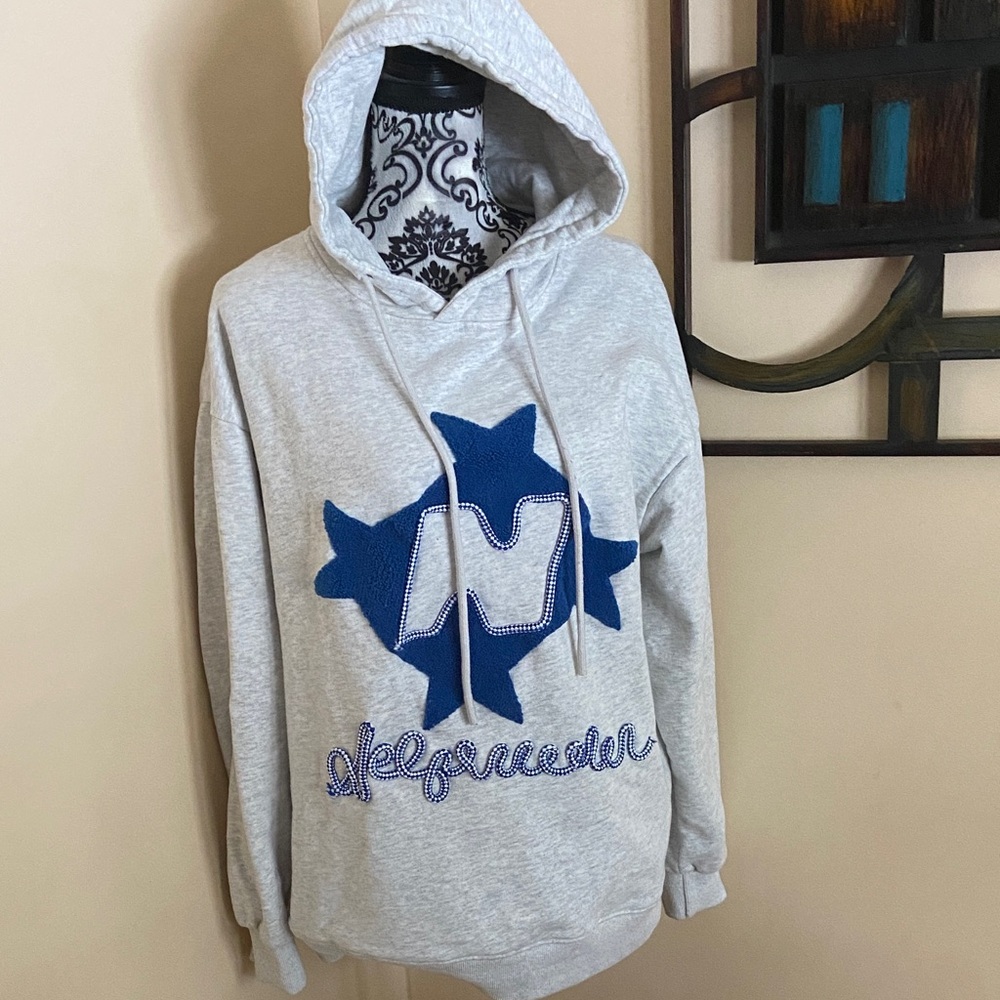 Aelfric Eden Gray Hoodie with Blue Accents